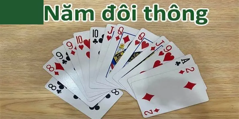 Đề phòng rủi ro khi bẫy heo đỏ - tránh mắc sai sót trong quá trình quyết định